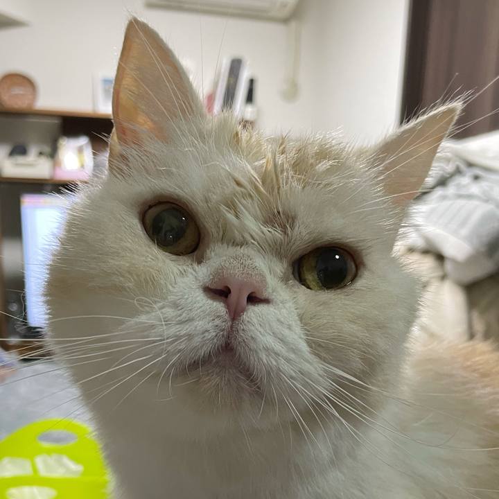 56457ccc a7a0 4a26 9c5a d31f78e644a6 1762440085783