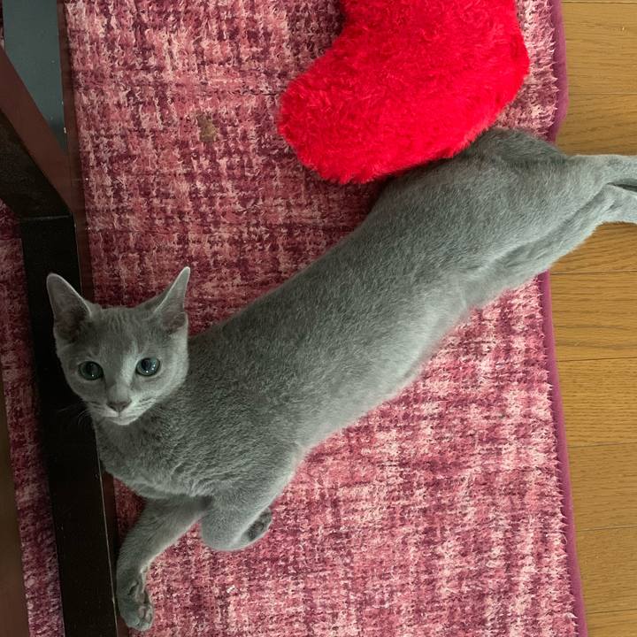 564595ec a47c 4a63 a978 38f1ac59fa4e 1574554542698