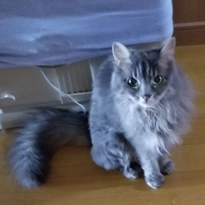 5645d422 55e9 493a a924 584bcb63b31d 1598745853526