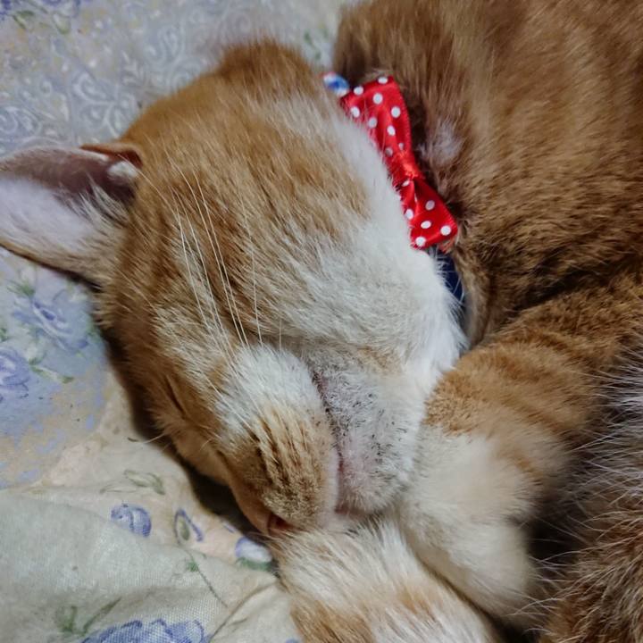 5646030f ac0c 4bb7 bdba 55dbccb2ad09 1576409409454