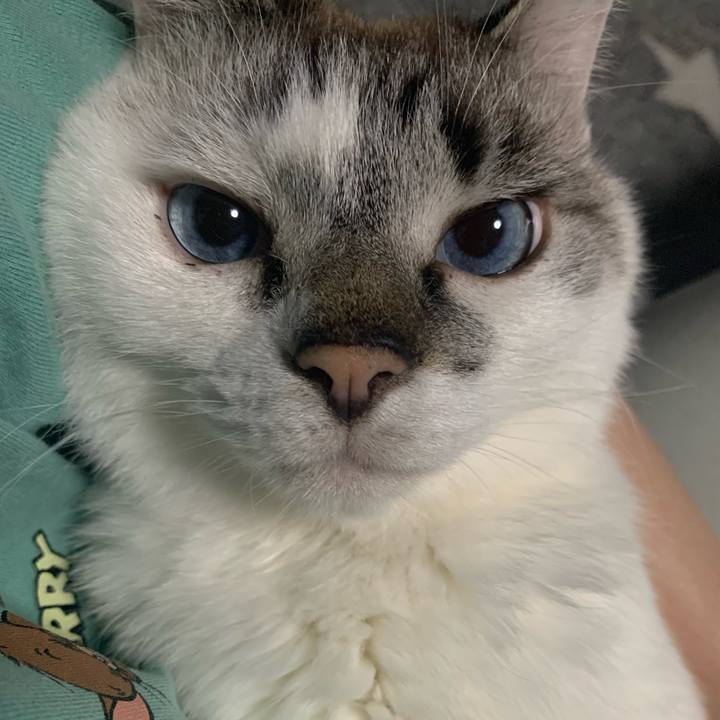 56461bf3 2757 4beb b43b dc3e34cbd269 1649592272497