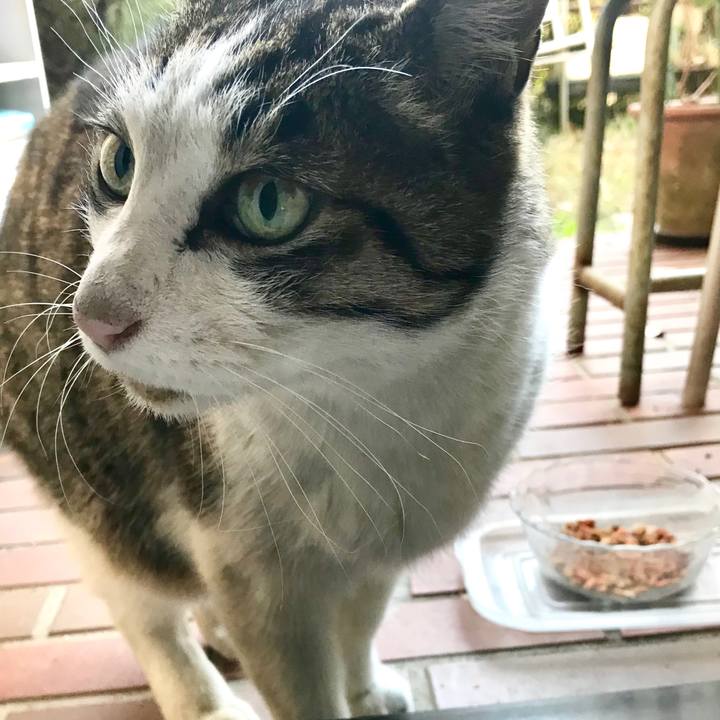 564639fc 46e6 4bf6 835b 6e544871c287 1513502315191