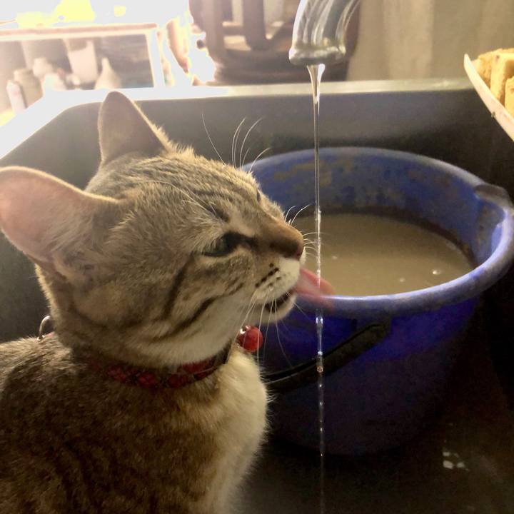 5646468a 49b1 4f5e a35e 245d6ea66d9a 1586921597805