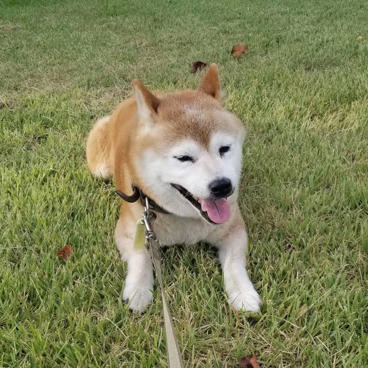 5646c5bf e052 4a71 94ef 3bee3978457e 1693468816770