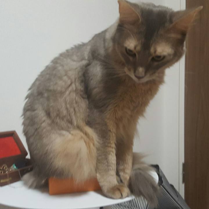 5646e2c7 132b 4059 aa6f a67f6949b63c 1544960409914