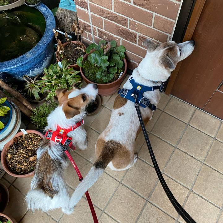 5646ef2e b0d2 4bc9 92fc 1e87154da9dd 1638484873703