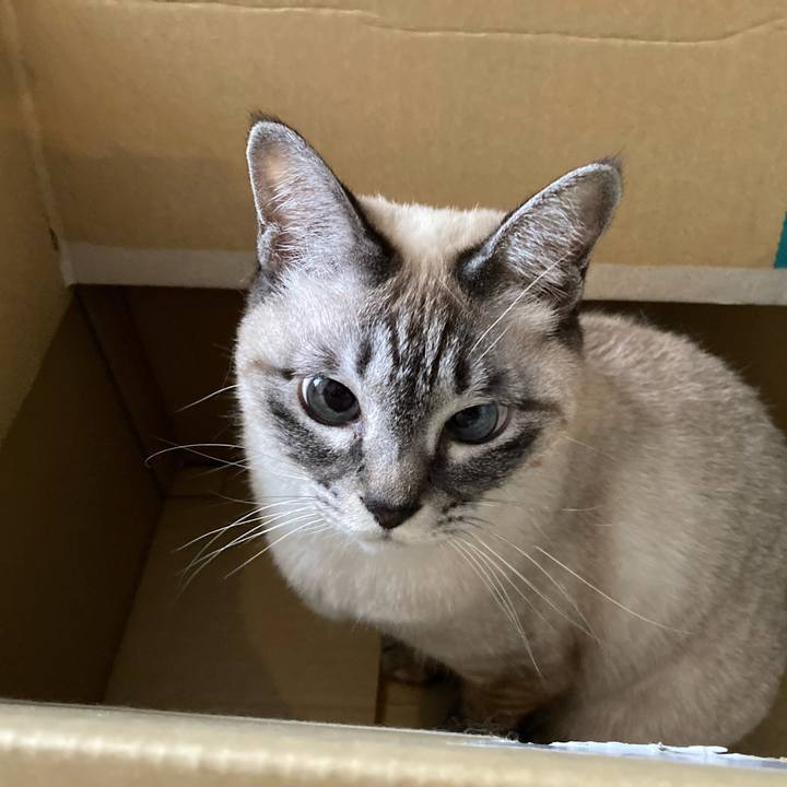 5646f7f3 5658 4bcc b1c5 688f799dbf96 1770264235037