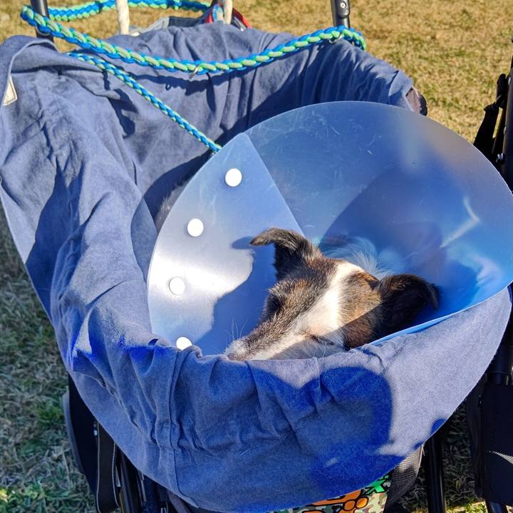 5647258d d113 4e5a 9d42 d79ef511318c 1669553043185