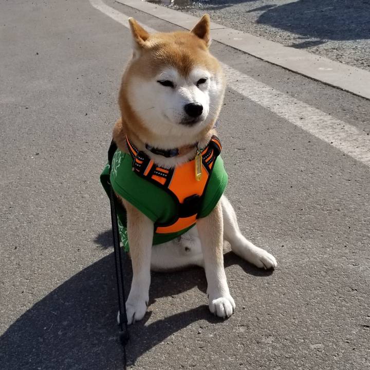 56476073 def4 4275 afe0 542fc860c009 1586067805297