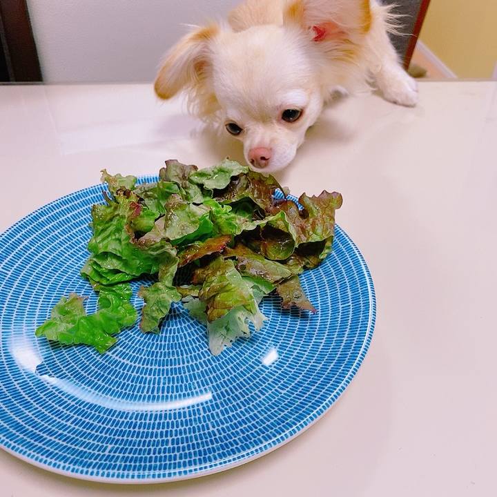 5647814b 4de5 494f b1d5 56c4d37c5795 1625317250216