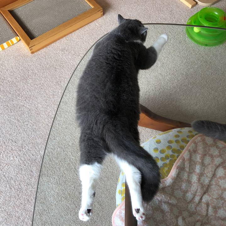 564792b5 9262 4ef5 b55a 07383bb2b64f 1525354366700