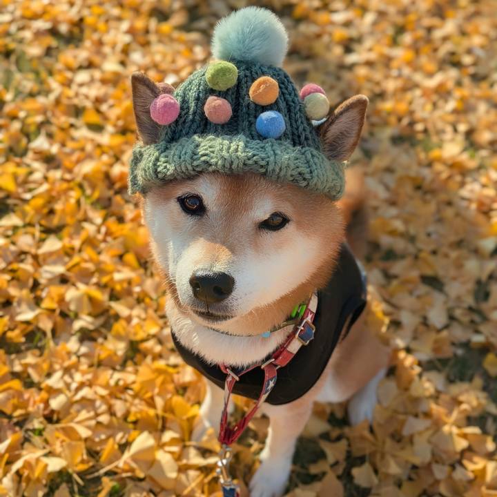 5647a2ba 0ae8 424f 8ecc 8f111846495d 1763711761496