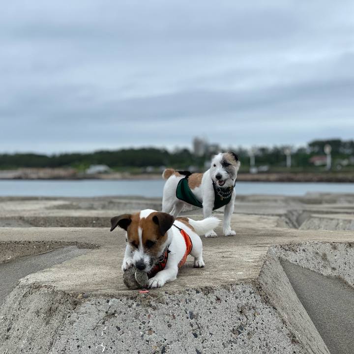 5647b850 3b5a 46b9 a2d1 32bc10e81e60 1687479567708