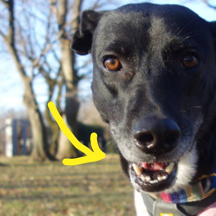 5647cf59 b6b3 401a 8f98 436a8507ac35 1640134745112