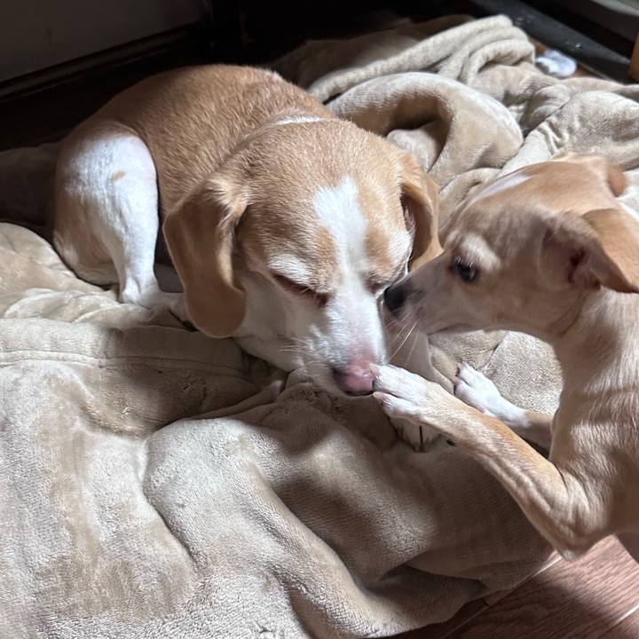 56480363 8d8c 4835 a305 a7a372edffea 1703320910643