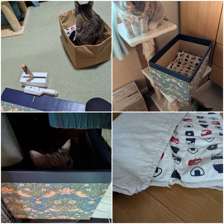 56481bf7 594e 4eb5 af32 15f2a041588a 1742885385704