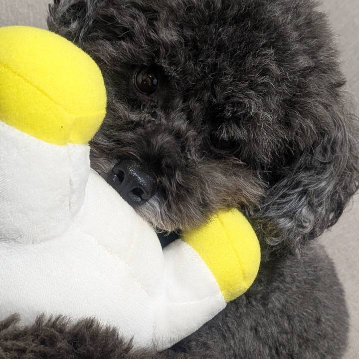 5648591d 2260 4636 b180 6f8ecae17b2d 1757811005061