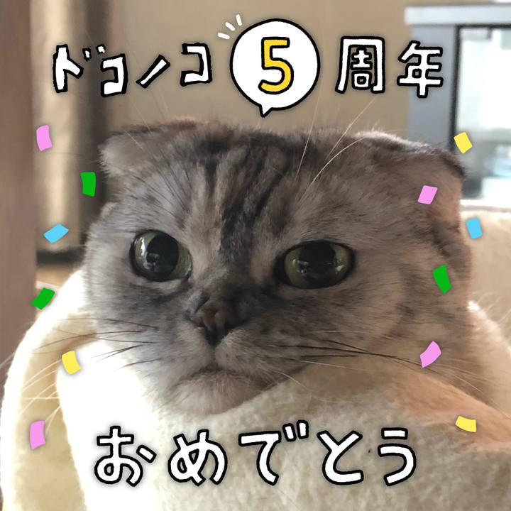 564872b7 6d99 4a18 a469 ea9c2291f0d3 1622954091868