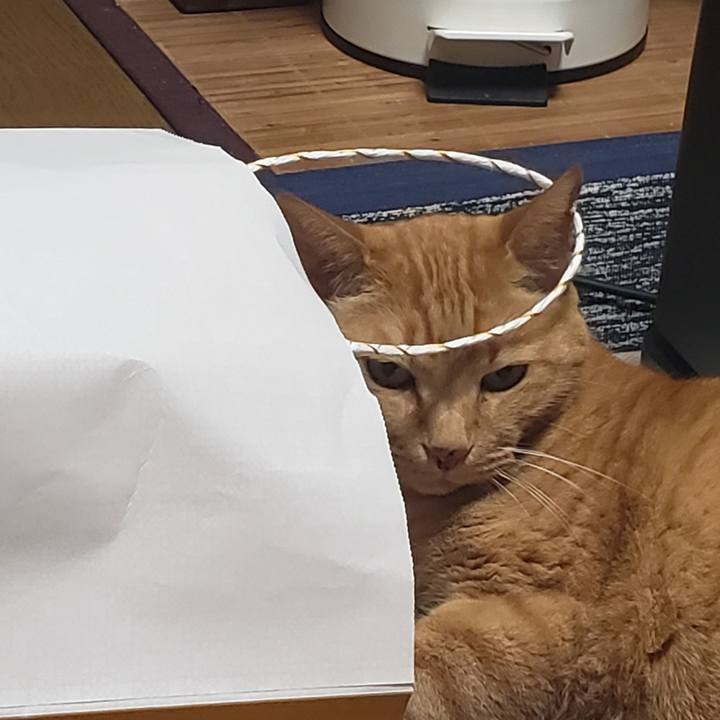 5648dccb 9afc 4eaf bb49 e874e3e31bdc 1717056534272