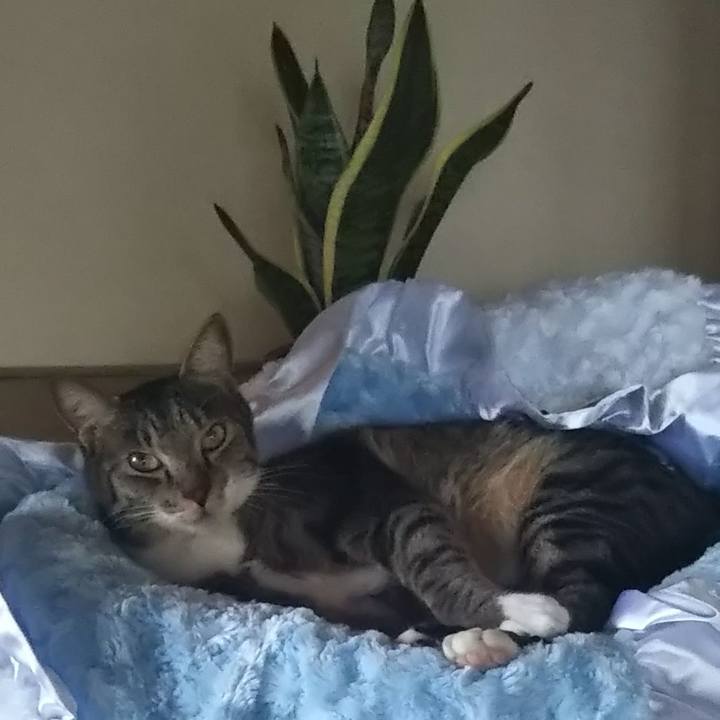 56492aed 8334 4ec4 b981 23059c1a41e2 1600856097539