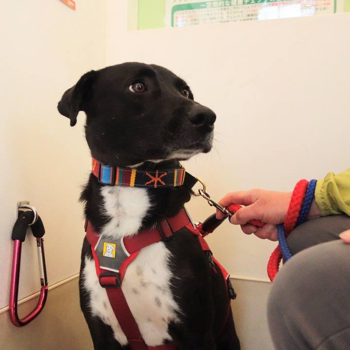 56496f8d 8e3e 47f0 ac7f 42b75d48ab05 1586497313437