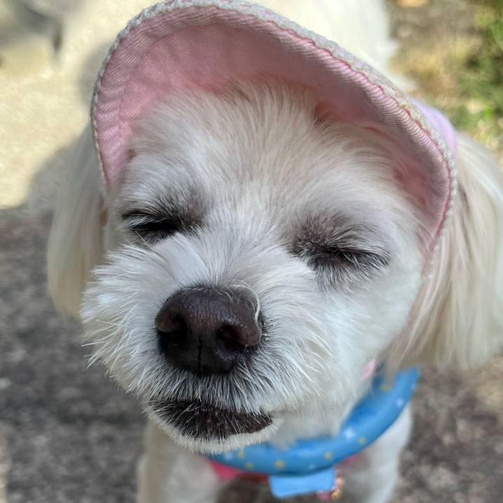 5649e1b5 b3bb 45c2 8560 b32d20fc7b9f 1693645042872