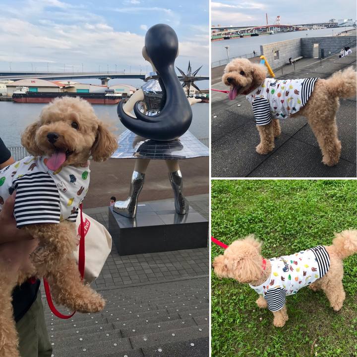 564a3bd8 fa66 4b97 921d a2ee448b29e5 1597930330124