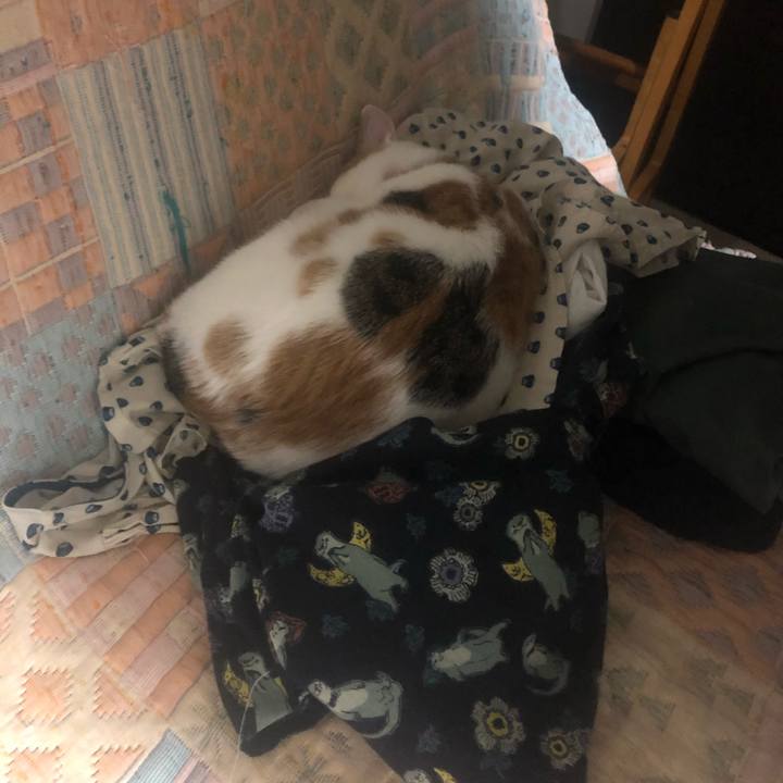 564a5fad 0fac 4480 8086 a1bcdd9f13e5 1575200273349