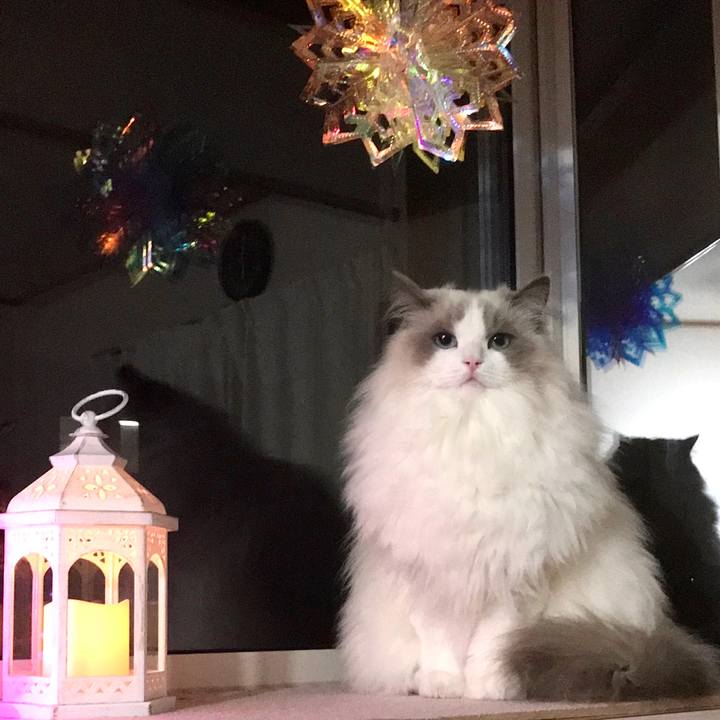 564a6a56 f15d 4a74 909d a35a80805c26 1638087377446