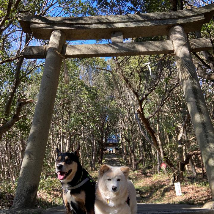 564a8012 1ca3 4381 a4f7 4eff3eb47115 1678098591584