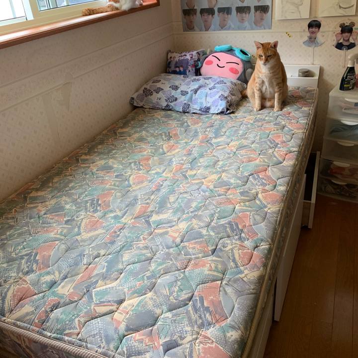 564acdd9 a189 495d 8e8b 19f08d02d097 1563148119059