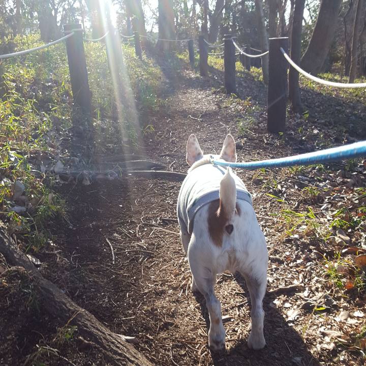 564b1777 f75f 4721 97df 9e5a43b401ef 1549002556979