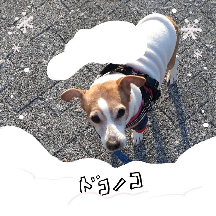 564b2607 fdaf 461d 8c71 cc1007f8f700 1772065622934