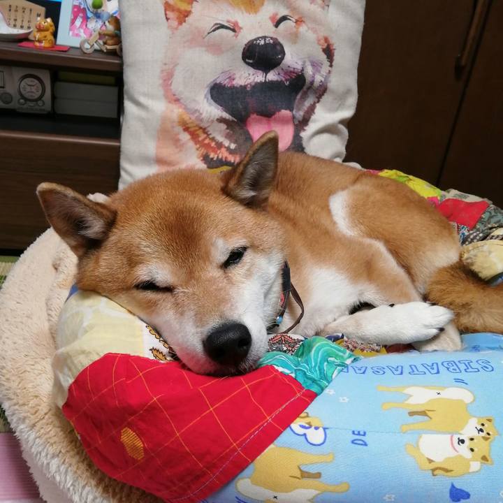 564b7286 a089 4839 bc8f 8d15e6f48988 1668161916019