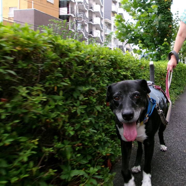 564be6ee 7a1e 4284 bd92 1ab464d696ab 1754784681830