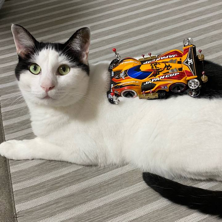 564c2e11 348c 4945 82ee 507ec8001680 1631894272255