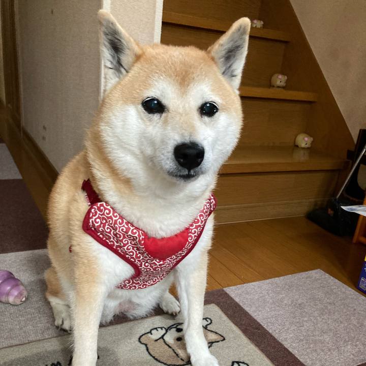 564c7dbc 53b4 4e40 9f16 aedc56d57f59 1625743837861