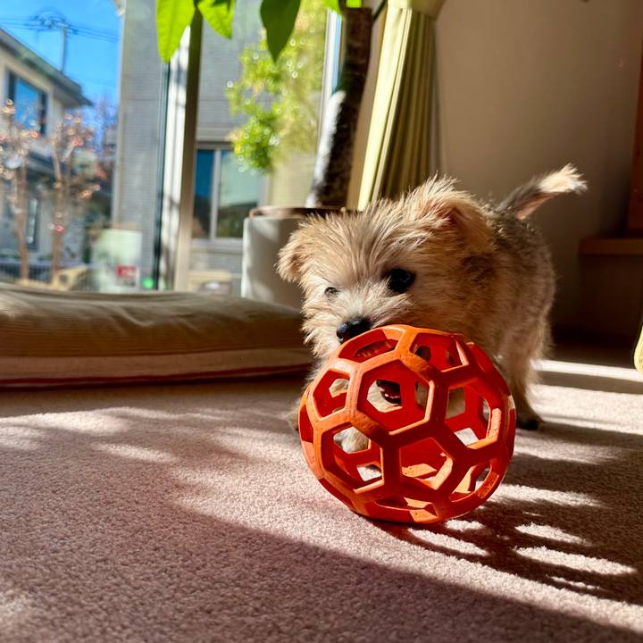 564ca412 3964 43af 8fd5 13c92c4285e4 1701696289817