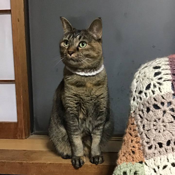 564cf44f 4428 48b2 90f1 a20449c8ea22 1727176758686