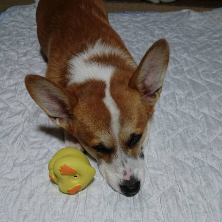 564d12b0 46b7 4b79 b3be b3893de2b264 1570535709608