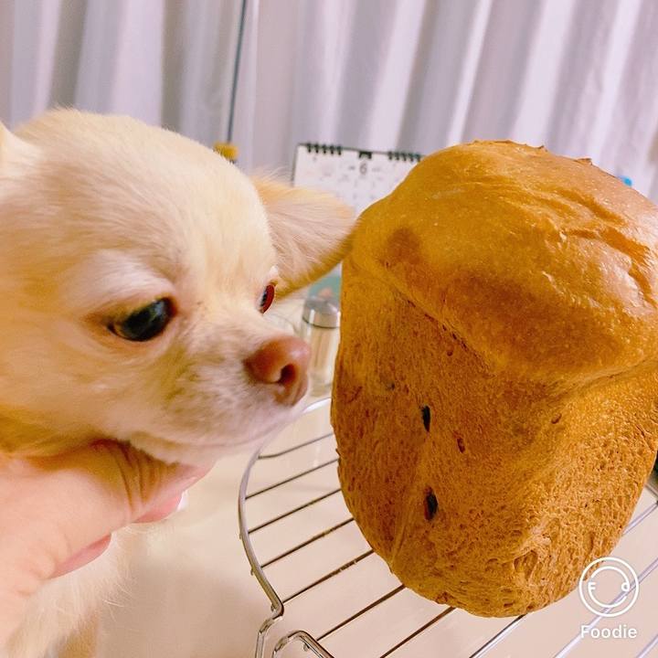 564d5aa2 e51c 4152 9b88 fcf8ac2d4e49 1625136912146