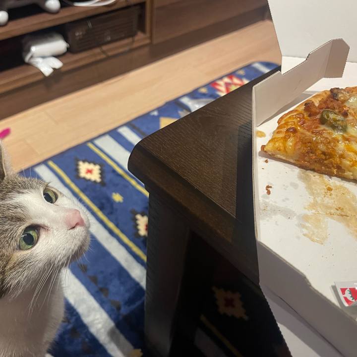 564d617e e724 4bdd 8a2b db9c99c2f058 1625656929584