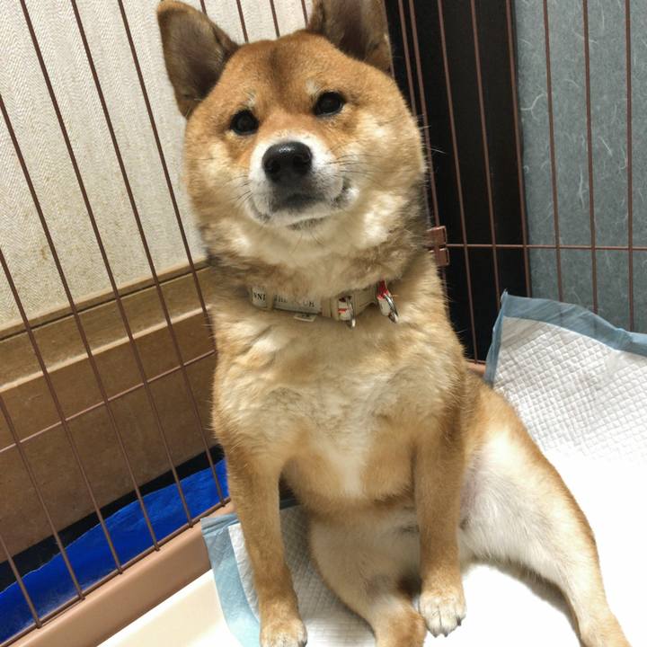 564d84b1 d31f 4493 b65c 84c66c90ffbf 1552259604591