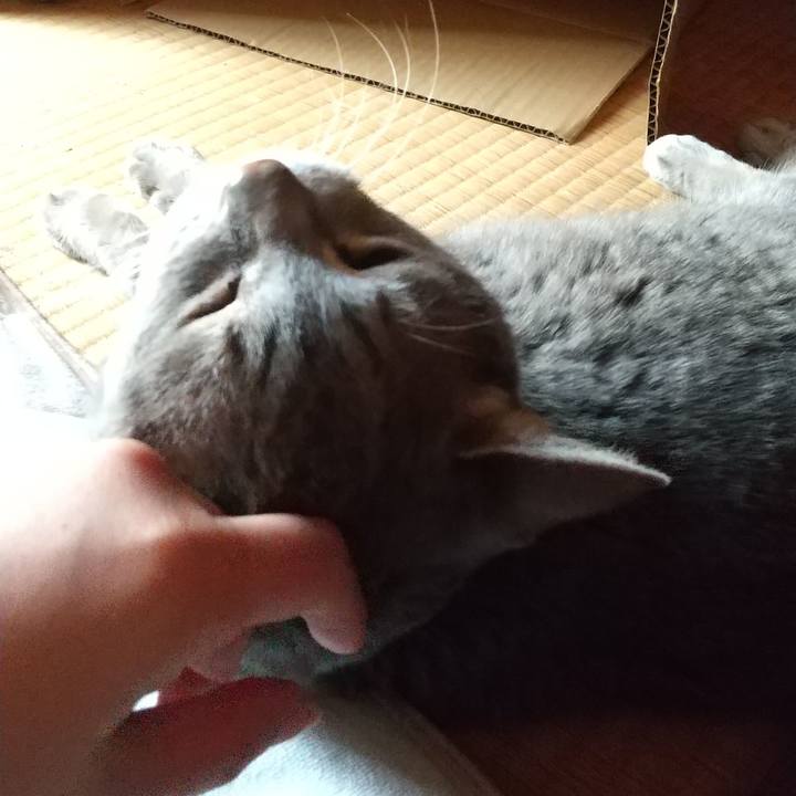 564dab8a 6e7e 47d2 a0f3 427f823de551 1741060050807