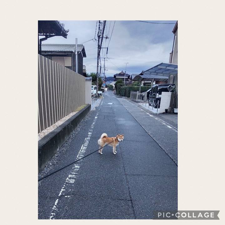 564db093 10fb 4b1f 89e4 ef23774fec06 1700175872379