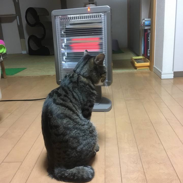 564db15b 6513 486f a413 ccd086d585e7 1548154671908