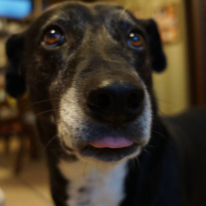 564dbb3d 8225 4453 91fd 557626632798 1766103897540