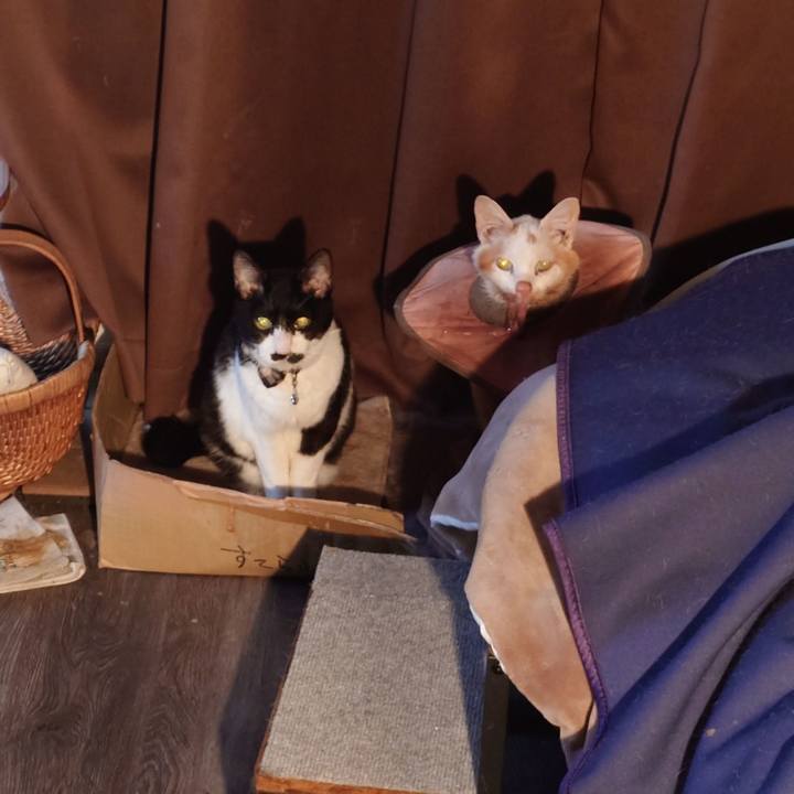 564dd831 1b87 4608 9500 7d19b637a89a 1770510555531