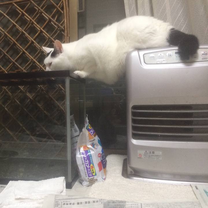 564e0f73 4f2f 47ac 8d91 73896d396798 1562242583174