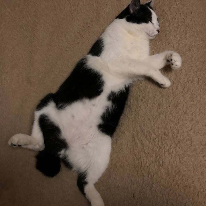 564e2579 f8b0 4c8c a4ad 808785e2d097 1556987581878